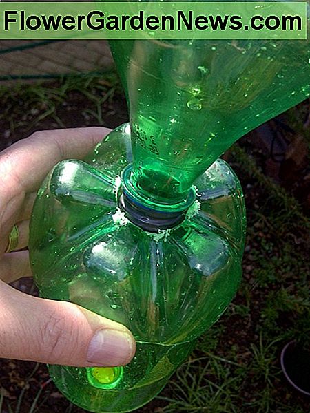 Įstatykite viršutinį buteliuką į butelį žemiau Insert top bottle into the bottle below