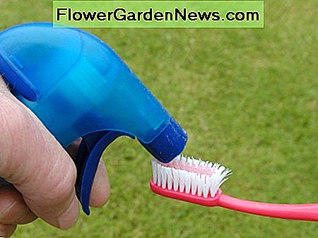 Använd en tandborste till Use a toothbrush to