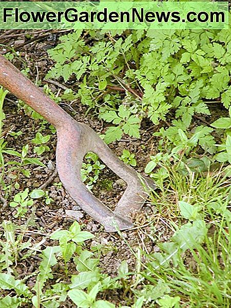 Trädgårdshag Garden hoe