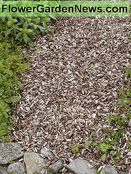 Chipped grenar som produceras av en elektrisk chipper Chipped branches produced by an electric chipper