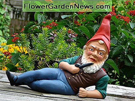 Der klassische deutsche Gnom. The classic German gnome.