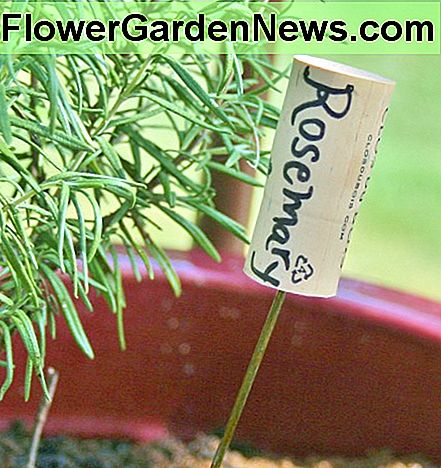 Ein alter Weinflaschenkorken, ein bisschen Kleiderbügeldraht und ein Sharpie sind alles, was Sie brauchen, um diesen niedlichen Pflanzenmarker zu machen. An old wine bottle cork, a bit of coat hanger wire & a Sharpie are all you need to make this cute plant marker.