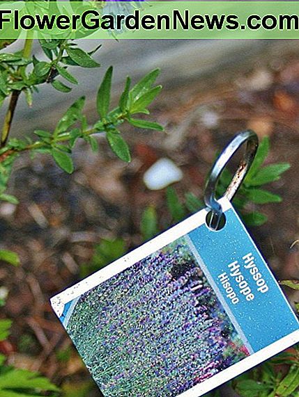 Werfen Sie keine rostigen Spieße. Zusammen mit Pflanzenmarkern ergeben sie große, hohe Pflanzenmarker. Don't throw out rusty skewers. Paired with plant tags, they make great tall plant markers.