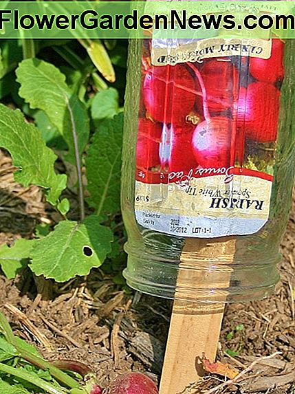 All diese Mason Jar Pflanze Marker erfordert ein bisschen Montage. All this Mason jar plant marker requires is a bit of assembly.