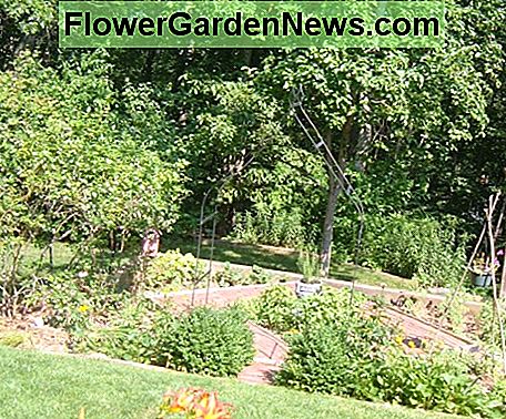 Nasza 艂ata z przydomowego bor贸wki Our Backyard Blueberry Patch
