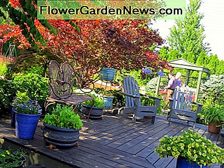 Eine niedrige Holzterrasse im Testgarten dient als entspannender Sitzbereich im Freien. A low wooden deck in the test garden serves as a relaxing outdoor seating area.