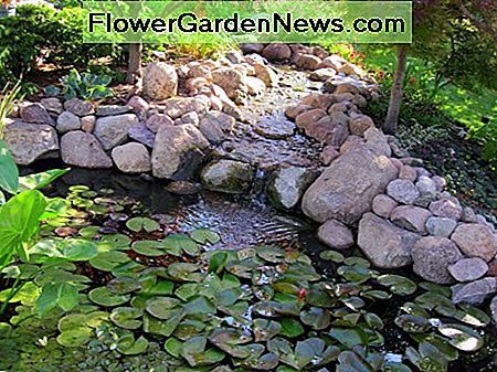 Der Teich und die Kaskade befinden sich am östlichen Ende des Gartens. The pond and cascade is found near the east end of the garden.