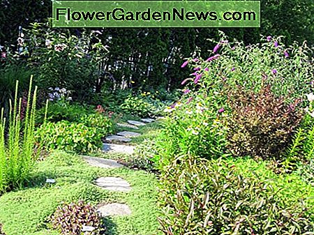 Ein Steinplattenpfad lockt Besucher an, um die Biegung der Staude zu erkunden. A flagstone path beckons visitors to explore around the bend of the perennial border.
