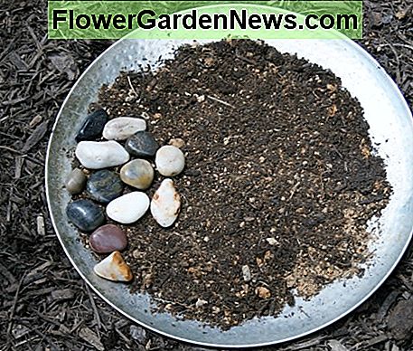 ฉันจัดหินแม่น้ำบางส่วนไว้บนพื้นดินเพื่อให้ผีเสื้อติดเกาะ I arranged some river rocks on the soil to give the butterflies places to perch.