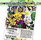 100 Flower Fröer, Columbine