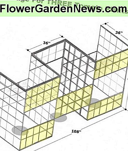 Zeichnung von Robert Kernodle aus einem selbstgebauten Tomato-Käfig mit drei Fächern. Drawing by Robert Kernodle of a homemade three-compartment tomato cage.