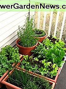 Balkon tuin Balcony garden