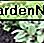 Salie, tijm en koriander delen een pot. Sage, thyme and cilantro share a pot.