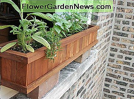 Een traditionele houten windowbox, van duurzaam redwood. A traditional wood windowbox, of long-lasting redwood.