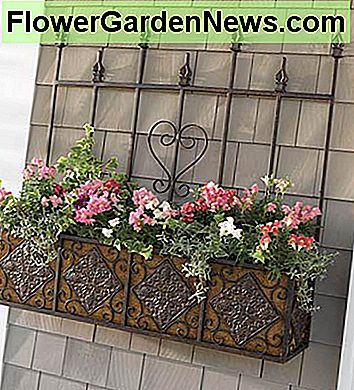Een ideale oplossing voor een muur zonder vensters, maar een beetje decoratie nodig heeft! An ideal solution for a wall that has no windows, but needs a bit of decoration!