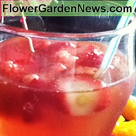 Ontspan met deze eenvoudige, verfrissende mocktails gemaakt van zelfgekweekt fruit, groenten en kruiden. Relax with these simple, refreshing mocktails made from home-grown fruits, veggies and herbs.