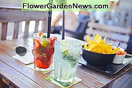 Mint is een gemakkelijk te kweken kruid --- perfect voor het maken van mojito mocktails! Mint is an easy-to-grow herb---perfect for making mojito mocktails!