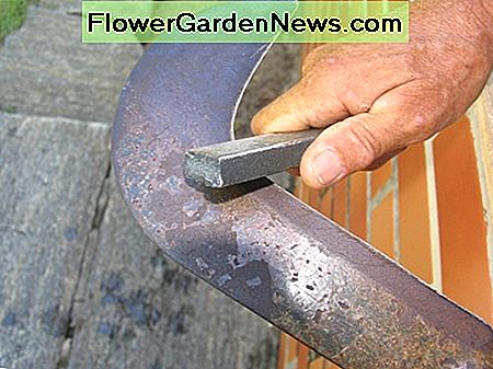 skærpe et seglblad sharpening a sickle blade