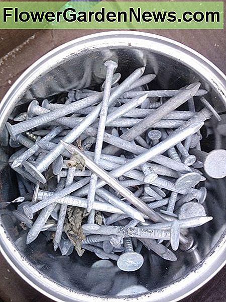 Verwenden Sie galvanisierte Nägel in Hochbeeten Use galvanized nails in raised beds