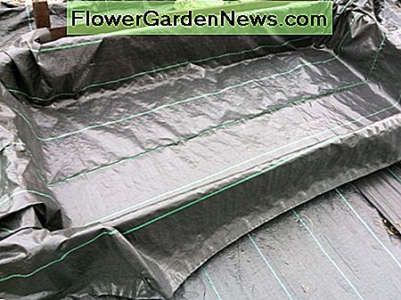 Lining Betten Lining raised beds