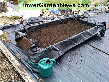 Verwenden Sie hochwertigen Kompost in Hochbeeten Use good quality compost in raised beds