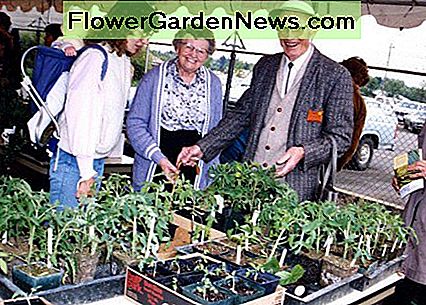 Les maîtres jardiniers organisent une vente de plantes. Master Gardeners host a plant sale.