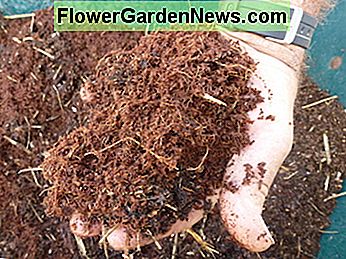 Kokos gemaakt van kokosnootschelpen is een gemakkelijk hernieuwbare hulpbron. Veel telers geven de voorkeur boven veenmos. Coir made from coconut shells is a readily renewable resource.Many growers prefer it over peat moss.
