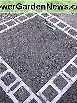 Plant een grens met kruiden en bladgroenten in de kleine vierkantjes in de blokken. Maak gebruik van de kleine vierkantjes voor goudsbloemen, calendula en Oost-Indische kers. Plant an herb and leafy greens border in the small squares in the blocks. Take advantage of the small, squares for marigolds, calendula, nasturtiums.