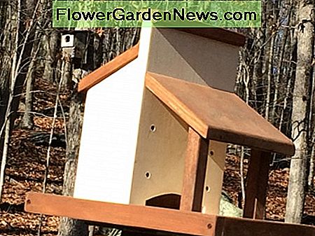 M贸j r臋czny podajnik dla ptak贸w na platformie My handcrafted platform bird feeder