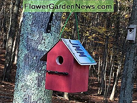 Bluebirds, wrens, chickadees i sowy przenios膮 si臋 do birdhouse Bluebirds, wrens, chickadees and owls will move into a birdhouse