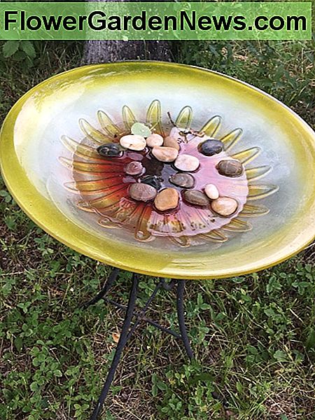 Es ist wichtig, Wasser zur Verfügung zu stellen. Ich benutzte ein altes Vogelbad und machte es zu einem Ort für Bienen und Schmetterlinge, um Wasser zu bekommen. It's important to provide water. I used an old bird bath and made it a place for bees and butterflies to get water.