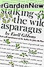 Stalking The Wild Asparagus