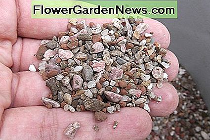 Beachten Sie, wie groß die Partikel sind und wie lose das Granulat in Ihrer Handfläche sitzt. Note how large the particulates are and how loose the granules sit in the palm of your hand.