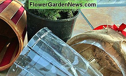 Plast liners mÄ gÄ, enten du er omplanting eller ikke. Plastic liners need to go, whether you're replanting or not.