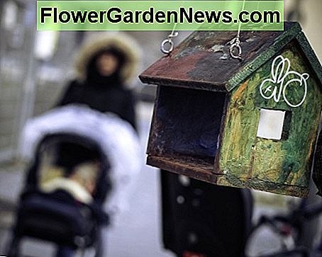 Wenn die Menschen die ganze Zeit am Vogelhaus vorbeilaufen, werden sich die Vögel nie sicher genug fühlen, um darin zu nisten. If people are walking by the bird house all the time the birds will never feel secure enough to nest in it.