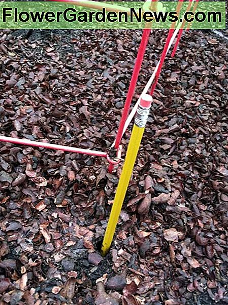 Gebruik een potlood, een stick, of je vinger om gaten te maken rond 2 Use a pencil, stick, or your finger to make holes about 2
