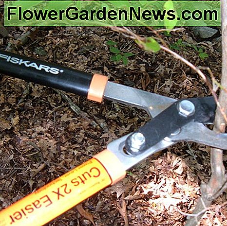 Fiskars Bypass-Astscheren Fiskars Bypass Loppers