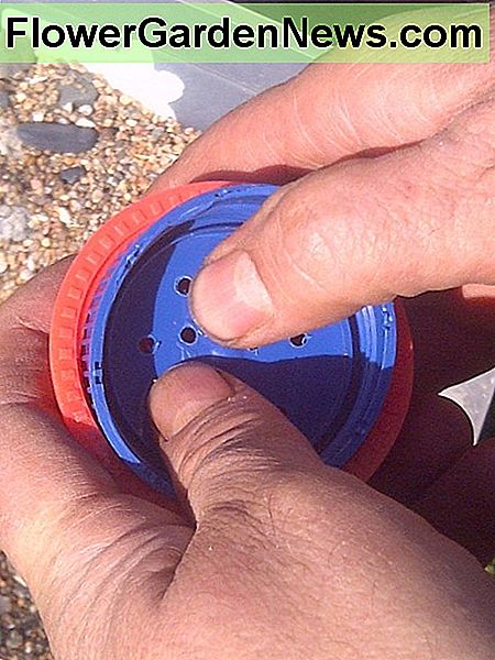 Paspauskite dangtelį kuo giliau. Press the cap in as deep as possible.