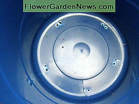 Haga orificios de drenaje en el fondo de una maceta grande de plástico que tenga al menos 20 pulgadas de profundidad y 20 pulgadas de diámetro. Make drainage holes in the bottom of a large plastic pot that is at least 20-inches deep and 20-inches in diameter.