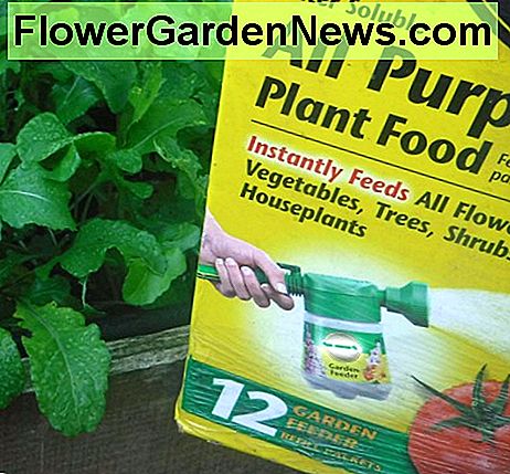 อาหารจากพืชช่วยเพิ่มคุณค่าทางโภชนาการให้กับดิน Plant food adds nutrition to soil.
