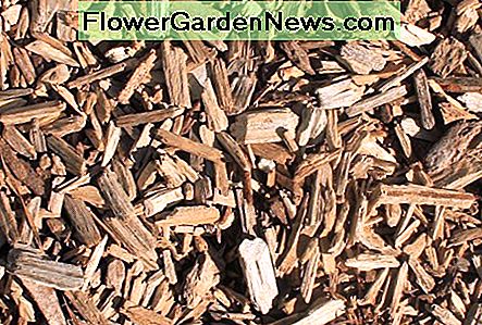Mulch เพิ่มการป้องกันดินในสวน Mulch adds protection to garden soil.