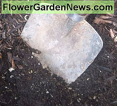 การเตรียมดินเป็นสิ่งสำคัญสำหรับพืชที่มีสุขภาพดี Soil preparation is important for healthy plants.