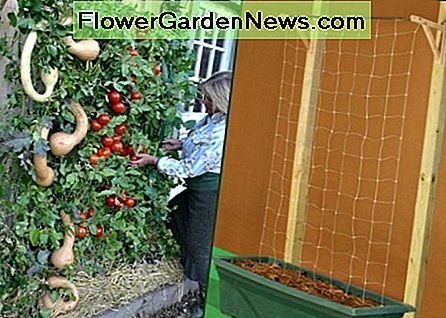 Idée de planteur de tomate de patio vertical bricolage DIY Vertical Patio Tomato Planter Idea