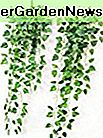 Yatim 90 CM Geld Ivy Vine Kunstplanten Greeny Ketting Muur Opknoping Bladeren Voor Thuis Kamer Tuin Bruiloft Guirlande Buiten Decoratie Pack van 2