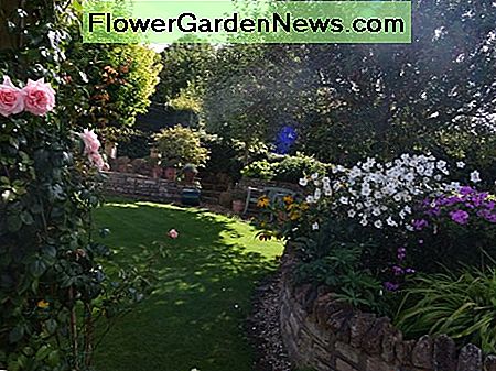 Ein geschützter Garten in Südwest-England während Anfang September A sheltered garden in South West England during early September
