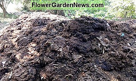 Obornik Farmyard Manure