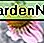 Paarse zonnehoed Purple Coneflower