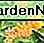 Butterfly Weed Butterfly Weed