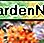 Butterfly Weed Butterfly Weed