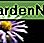New England Aster New England Aster